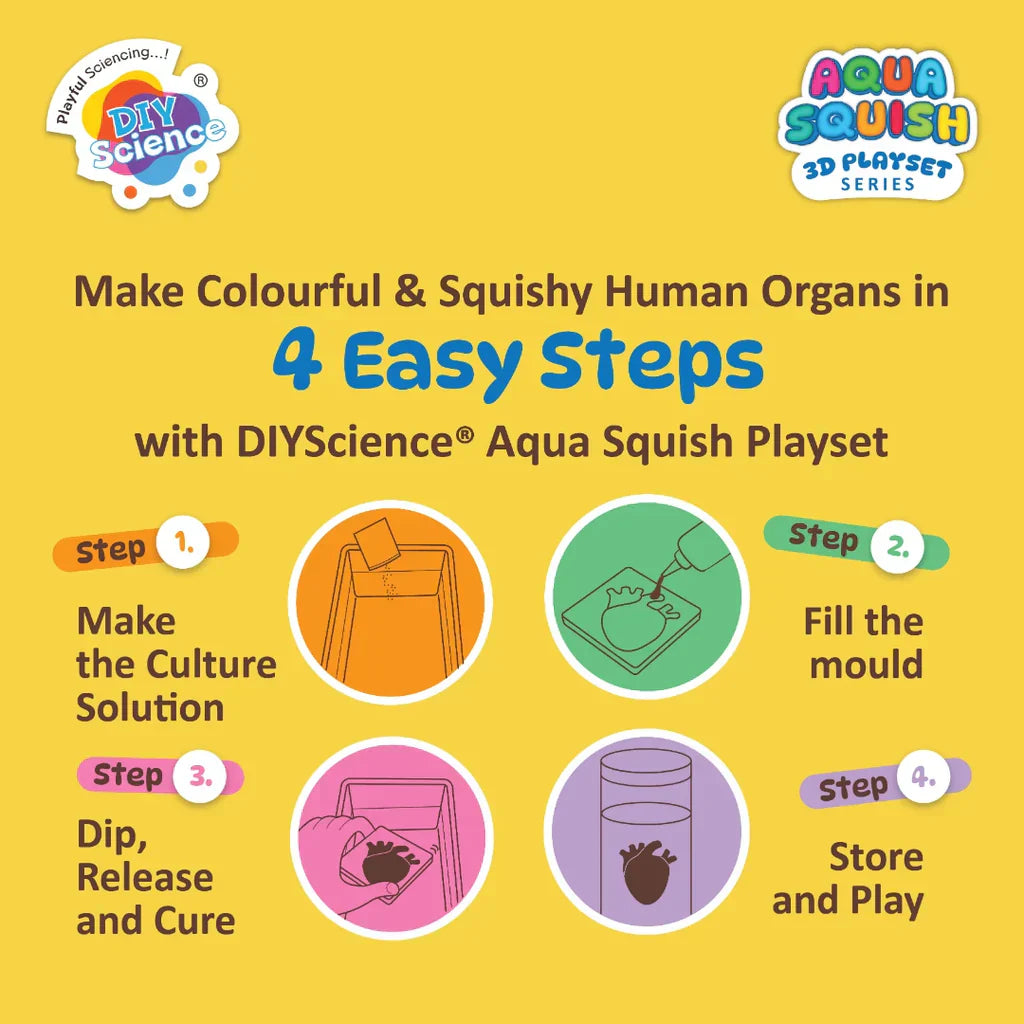 Human Organs Aqua Squish Kit for Kids 100% Safe & Non Toxic - EKT3665
